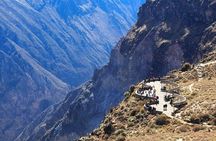 Colca canyon full day + buffet lunch