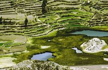 Colca canyon full day + buffet lunch