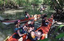 Mangrove, Beaches and Islands by Kayak tour