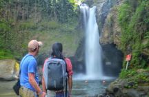 Cretya Ubud and Monkey Forest Sanctuary Tours