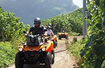 NEW!!! ATV TOURS with a local tour guide from Bora Bora
