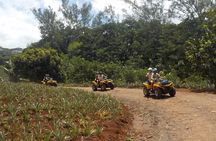 Small Quad Tour 2h30 Quad excursion in Moorea (single or two-seater)