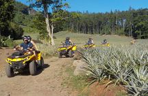 Small Quad Tour 2h30 Quad excursion in Moorea (single or two-seater)