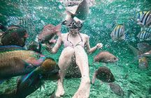 Bunaken Island three-point snorkeling includes lunch and shuttle