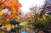 Seoul Private Tour with hidden gem of Seoul