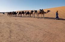 Small Group 3 Days Desert Trip From Fez to Marrakesh