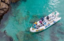 Cathedral Cove Boat Tour - Thrills