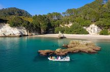 Whitianga: Cathedral Cove - Inside Sea Caves Boat Cruise