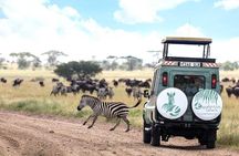 5 Days 4 Nights Exclusive Luxury Tanzania Safari