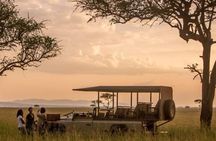5 Days 4 Nights Exclusive Luxury Tanzania Safari