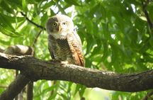 Yala National Park | Private Safari