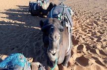 Small Group 3 Days Desert Trip From Fez to Marrakesh