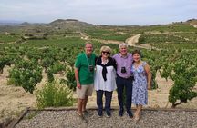 La Rioja wine tour: wineries and Laguardia from Logroño