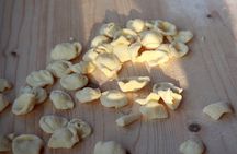 COOKING LESSON IN MASSERIA with transfer from Alberobello