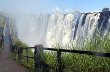 Guided Tour of the Majestic Victoria Falls