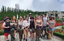 Da Nang Tien Sa Port to Sunworld Ba Na Hills/Golden Hands Bridge