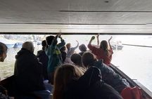 Amsterdam Clog Boat! Silent drive. Original boat ride...