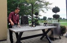 Luxury Toronto to Niagara Wine Tour: Flight & Limo Package