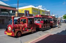 Basseterre St. Kitts City Tour - Trackless Trolley Train Ride