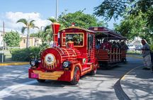 Basseterre St. Kitts City Tour - Trackless Trolley Train Ride