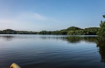 Into the Wild: Canoeing & Birdwatching in La Boquilla’s Untouched