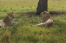 5 Days Kenya Adventurous Safari