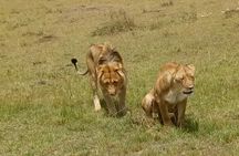 5 Days Kenya Adventurous Safari