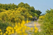  Exploring Vodice on Two Wheels
