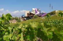 La Rioja wine tour: wineries and Laguardia from Logroño