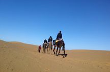  Under The Stars in the Desert Merzouga Morocco