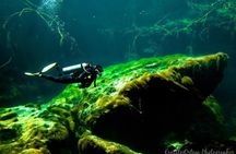 Amazing beginner dive in Tulum cenote (or refresher dive)