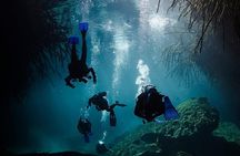 2 cenote divings (including one deep diving) for advanced divers in Tulum