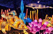 Bronx Zoo Holiday Lights Admission Ticket 
