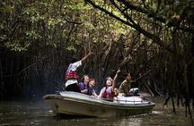 Hikkaduwa Day Tour With Madu River Safari & Galle Fort