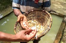 Hikkaduwa Day Tour With Madu River Safari & Galle Fort