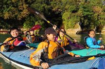 Kayak Mangroves or Coral Reef: private tour in north Okinawa 
