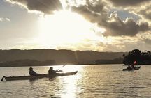Kayak Mangroves or Coral Reef: private tour in north Okinawa 