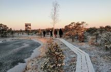 Sunrise at Kemeri National park + Jurmala