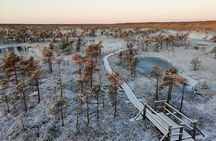 Sunrise at Kemeri National park + Jurmala