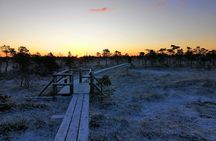 Sunrise at Kemeri National park + Jurmala