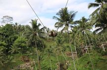 Private Ubud Tour Package