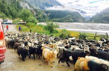 3Days 4WD Private Jeep Drive to MUSTANG-Jomsom/Muktinath from Pokhara