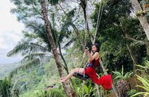 Ubud Water Temple Waterfall Terrace Swing Private Guided Tour