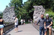 Ubud Full Day Private Guided Tour All Inclusive