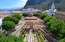 VIP Grand Tour Isla de Tenerife from South Tenerife