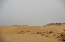 Sandboarding guided experience from Agadir