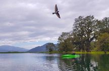 From San Pedro Sula: Yojoa Lake Area Day Trip