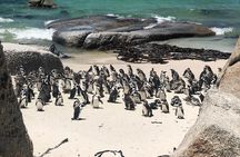 Cape Peninsula Private Tour