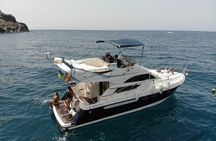 Dolphin Searching Tour in Puerto de Mogán ("KEEPER UNO" Boat)