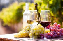 Wine Tasting Tour in Georgia's Cradle of Wine